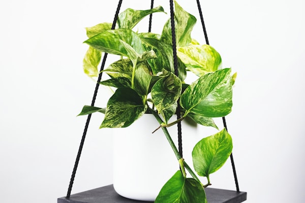 世界杯数据统计分析会议 - 分析师讨论比赛趋势